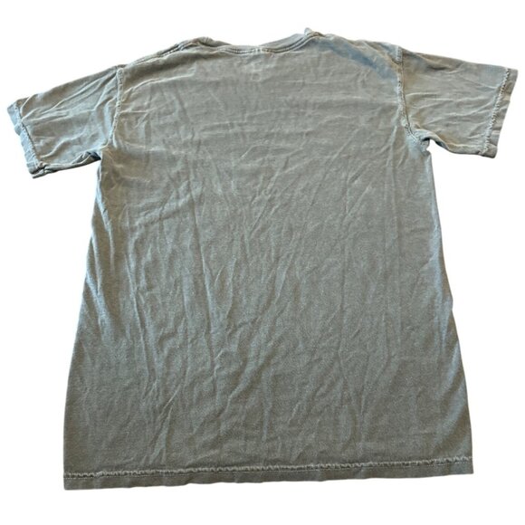 Vintage Frgvn Brand Chicago Bulls World Champions Graphic T Shirt 2020 Washed - Picture 7 of 7